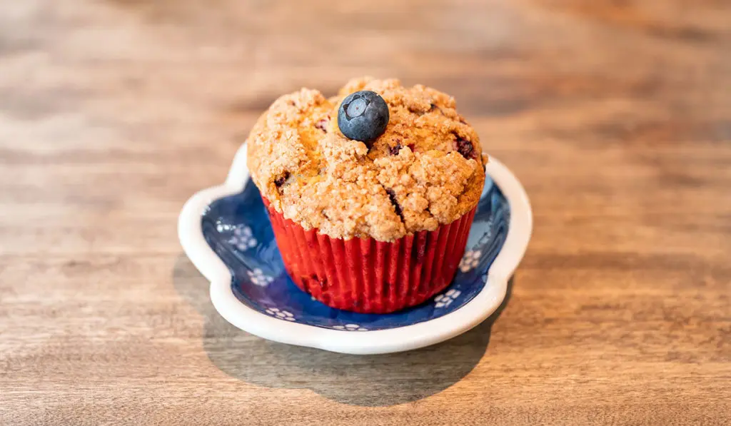 Blueberry Muffin and Positive Thinking - muffin on a plate