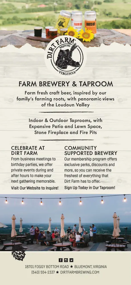 DFB-RackCard-front Dirt Farm Brewing Rack Card Design