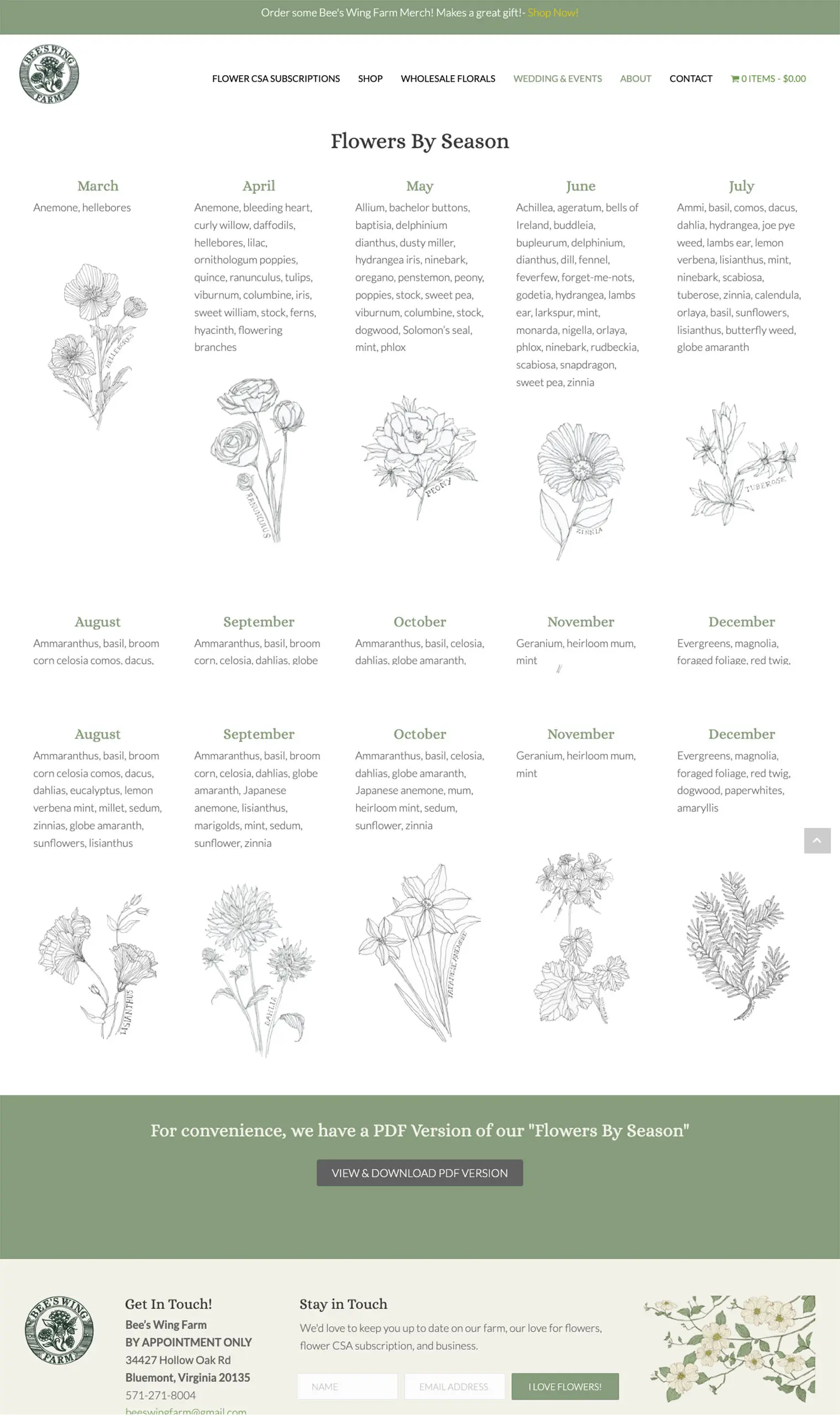 flowers-beeswingfarm.com-2023.01.06-14_19_22 Flowers by season using custom illustrations for Bee's Wing Farm, a flower business selling flower subscriptions on an e-commerce website